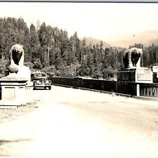 c1940s Klamath, CA RPPC Douglas Bridge US Hwy 101 River Car Bear Statue Cal A164 picture