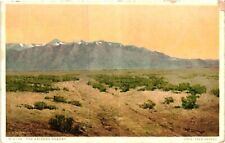 Vintage Postcard- THE ARIZONA DESERT, AZ. Early 1900s picture