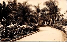 Three Real Photo Postcards Mission Cliff Gardens San Diego California~1179 picture