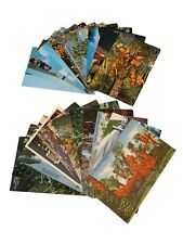 Vintage Florida Postcards Lot Of 23 Color Picture Art Color-Tone picture