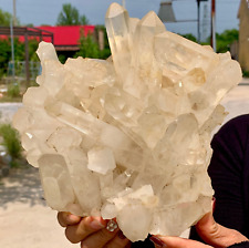 6.6LB A+++Large Natural white Crystal Himalayan quartz cluster /mineralsls picture
