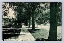 Greeley CO-Colorado, 12th Street Residential District, Antique Vintage Postcard picture