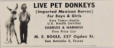 1956 Print Ad Live Pet Donkeys Imported Mexican Burros San Antonio,Texas picture