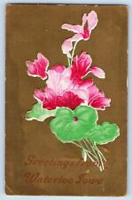 Waterloo Iowa IA Postcard Greetings Embossed Flowers And Leaves 1911 Antique picture