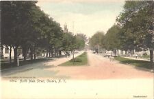 Scenic View Along The North Main Street, Geneva, New York Postcard picture