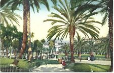 France Picture Postcard Nice-Jardin Albert Lec (Etude de Palmiers)  Palm Trees picture