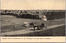 c1910s JAMESTOWN, North Dakota Postcard Bird's-Eye Panorama View with Hospital picture