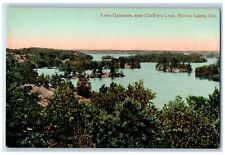 c1905 Lake Opinacon Near Chaffey's Lock Rideau Lakes Ontario Canada Postcard picture