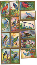 1935 Abdulla - Feathered Friends Cards COMPLETE SET (25/25) EX-MT (140156) picture