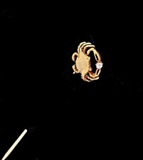 VINTAGE 14K SOLID GOLD SOLITAIRE DIAMOND STUDDED MARYLAND CRAB TOP STICKPIN picture