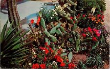 Desert Botanical Gardens Papago Park Phoenix AZ Postcard PM San Bernadino CA WOB picture