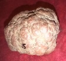Beautiful Rare Red  Large Giant 5 lbs.  Unopened Indiana Geode picture