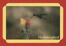 POSTCARD H - HUMMINGBIRD picture