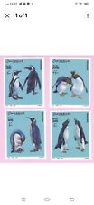 Penguins Bird Wildlife  picture