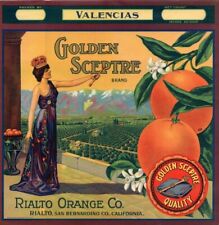Golden Sceptre Brand VINTAGE California Orange Crate Label 1920s NOT A COPY Rare picture