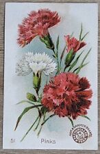 1895 AH800 Church & Co Arm & Hammer Beautiful Flowers Pinks Trade Card #51 picture