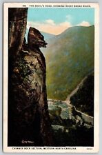 Devils Head Rocky Broad River Chimney Rock Section Western NC Vintage Postcard picture