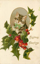 Helena Maguire Christmas Cat Postcard Tabby Kitten in Holly Vignette Embossed picture