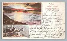 Early Pike's Peak Private Mailing Card Multiview ~ Antique Colorado Steven 1897 picture