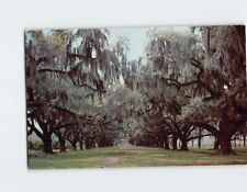 Postcard The Pakenham Oaks Chalmette Louisiana USA picture