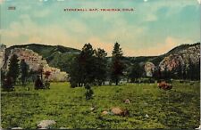 Stonewall Gap Trinidad Colorado CO Mountains Antique Postcard DB UNP Unused picture