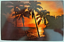 A Beautiful Sunset In Hawaii, Beach With Palm Trees ~ Ocean ~ VINTAGE Postcard picture