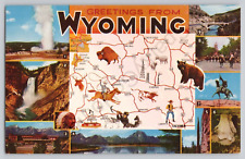 GREETINGS FROM Wyoming Postcard Bears and Byson picture