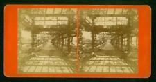 a794, C. G. Campbell Stereoview, # -, The Vine Clad Arbor, Central Park, 1870s picture