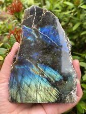 Natural Labradorite Slab, High Flash Free Standing Display Specim, Pick a Weight picture