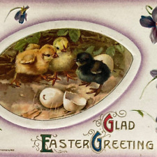 Postcard EASTER Glad Easter Greeting Chicks Hatching Floral John Winsch 1910 picture