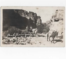 Pack Train in the West RPPC  1910-1930 picture