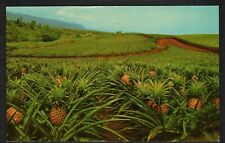 Postcard Advertising Dole Pineapple Orchard Hawaii Honolulu Marine Corps Cancel picture