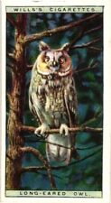 Wills Cigarettes 1925 Tobacco Card Life In The Tree Tops no. 35 Long Eared Owl picture