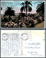 FRANCE Postcard - Grasse, General View O4 picture