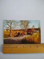 Postcard - Horse-'N-Buggy Country - 