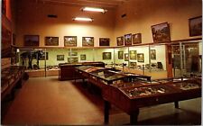 Geology & Fossil Hall Utah Field House of Natural History Postcard picture
