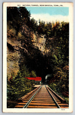 Postcard  B.2 Natural Tunnel Train Station Bristol Tenn    [er] picture