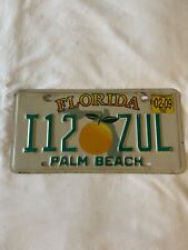 Palm Beach County License Plate picture