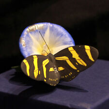 Franklin Mint Zebra Longwing Butterfly  Porcelain Sculpture - Mint Condition picture