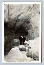 Estes Park CO-Colorado, Interior, Halletts Glacier, Antique, Vintage Postcard picture