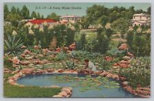 Postcard A Pretty Miami Garden Vintage Linen Posted 1954 picture