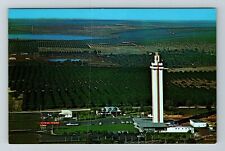 Clermont FL-Florida, Aerial View Citrus Tower  Vintage Souvenir Postcard picture