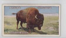 1924 Player's Natural History Tobacco American Bison #8 1i3 picture