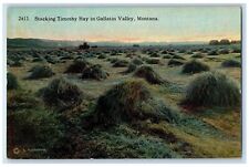 c1940s Stacking Timothy Hay View In Gallatin Valley Montana MT Unposted Postcard picture