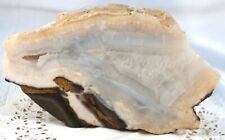 Nice Light Colored Agate with Crystal Center One Smooth Cut Face 1 lb. 3.3oz picture