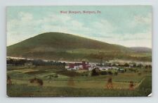 West Newport Pennsylvania Landscape Factory Town View VTG PA Postcard picture