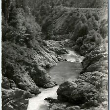 c1950s CA Redwood Highway RPPC Smith River Canyon Scenic Real Photo Art Ray A166 picture