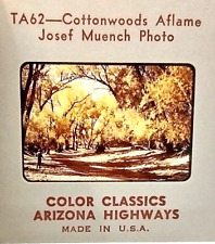 35mm Slide Trees In Autumn Cottonwoods Patagonia Area 1954-1965 Arizona Highways picture