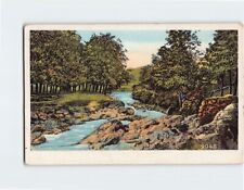 Postcard Beautiful Nature River Scene picture