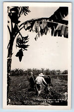 Orizaba Veracruz Mexico Postcard Arande (Motivo Tipico) c1940's RPPC Photo picture